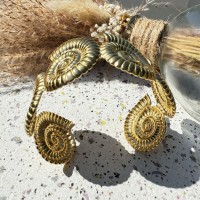 Jonc Coquillages